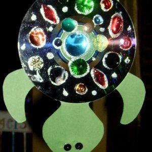 sparkly-turtle